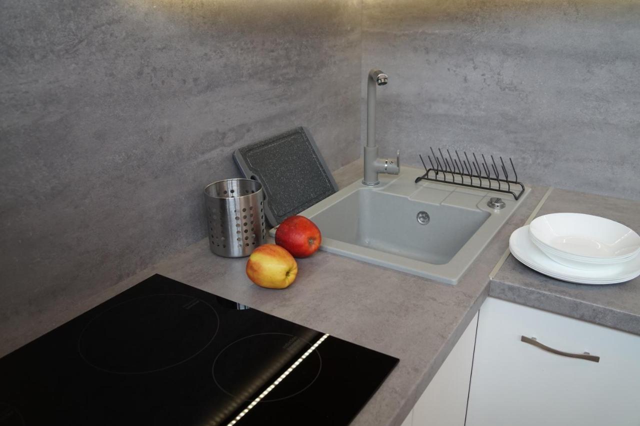 Apartament Gliwice Centrum Dunikowskiego Z Garazem Kültér fotó
