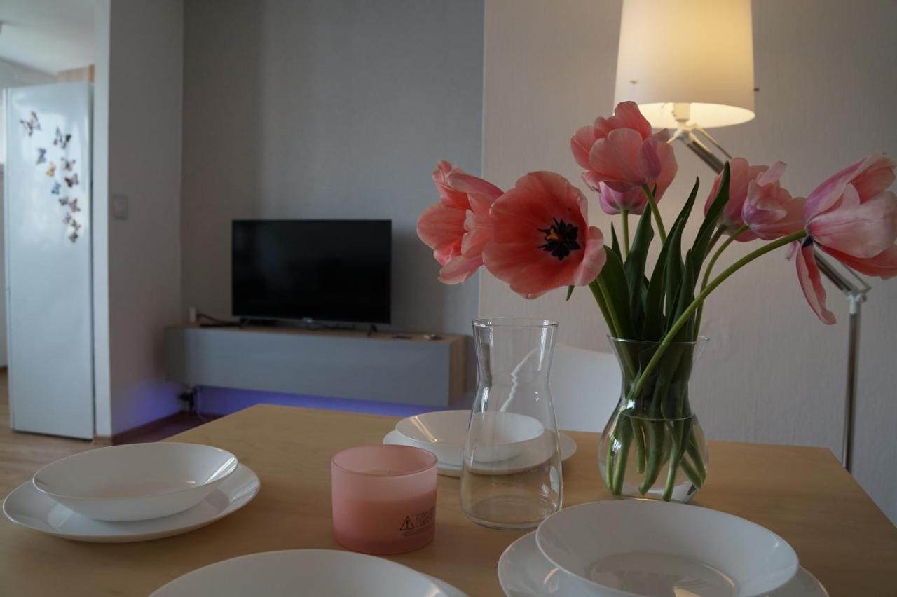 Apartament Gliwice Centrum Dunikowskiego Z Garazem Kültér fotó